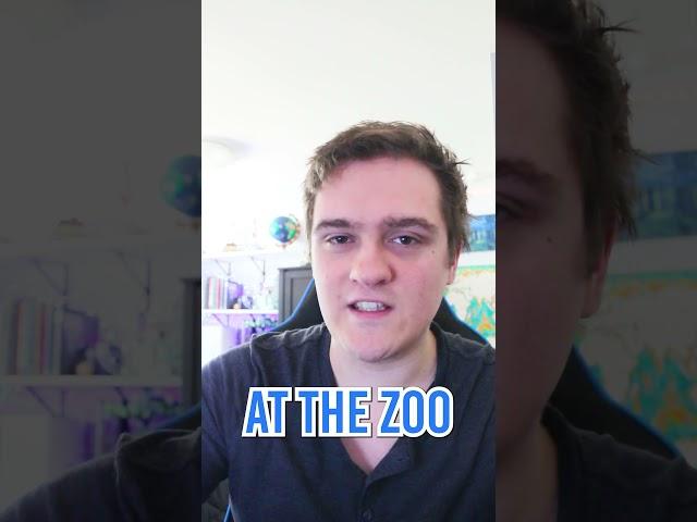 Jawed's DELETED YouTube Videos REVEALED!