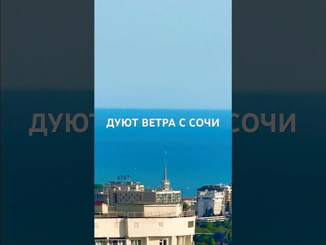  ШИКАРНЫЕ ПАНОРАМНЫЕ ВИДЫ С МОЕЙ ТЕРРАСЫ |  | ДУЮТ ВЕТРА С СОЧИ 24.05.2025 #brumshteyn_official