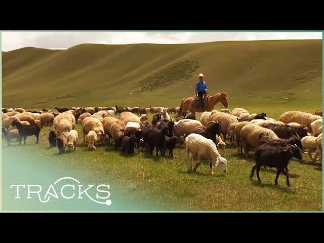 Kyrgyzstan's Post- Soviet Nomads (Central Asia - Full Documentary)