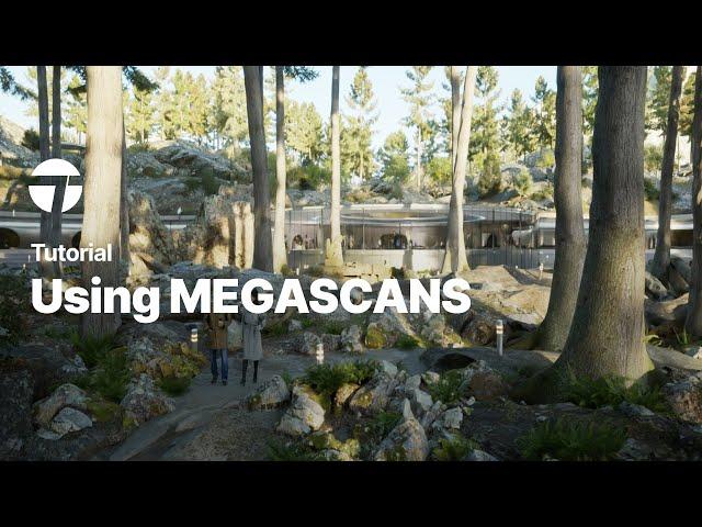 Using Megascans | Twinmotion Tutorial