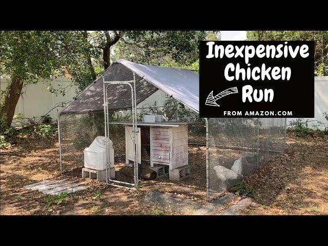 Inexpensive Chicken Run that has been GREAT SO FAR