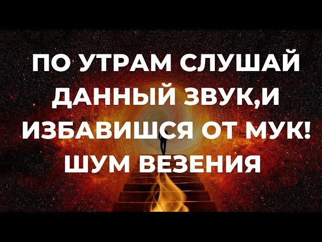 Шум для Везения Волновой геном Дуйко