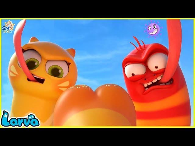 LARVA SEASON 3 EPISODE 276~ 377 NEST VERSION LARVA 2024 | COMICS | MINI SERIES FROM ANIMATION LARVA