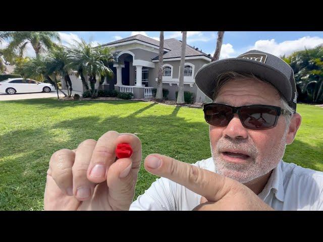 How To Use Professional Weed Control In Your Home Lawn | Do It Yourself Weed Control for Lawns
