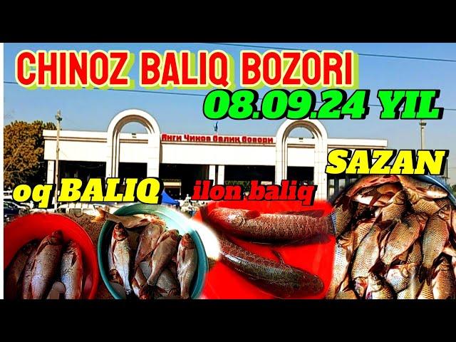 CHINOZ BALIQ BOZORI 