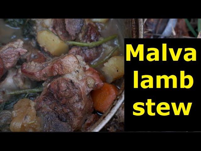 Bushcraft solo cooking ASMR "malva sylvestris"-dakota fire,lamb stew,tarp line