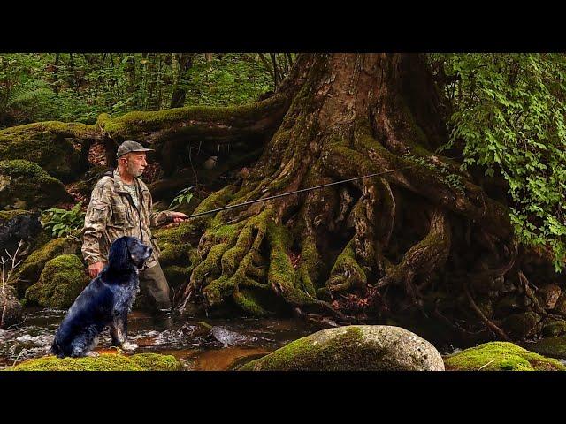 No Big Fish! Mountain fishing in the Primorsky Ussuri taiga.