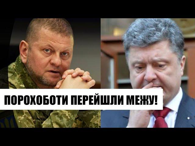 Пішли проти Залужного! Порохоботи накинулись: чорний піар - українці лютують. На річницю війни!