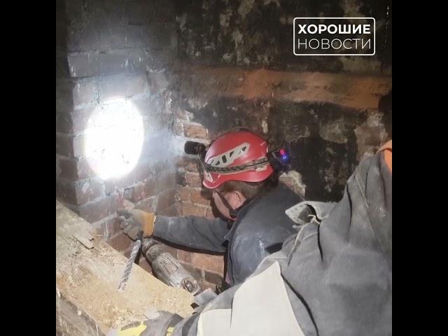 В Петербурге спасли котенка, замурованного в стене старого дома