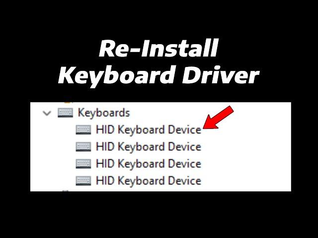 How To Re-Install Keyboard Driver in Windows 11 (2 Easy Methods) | Update Keyboard Drivers