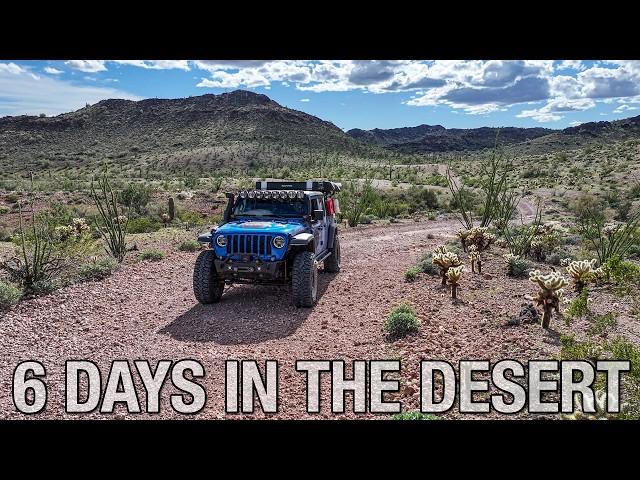 Six Days Overlanding in the Sonoran Desert