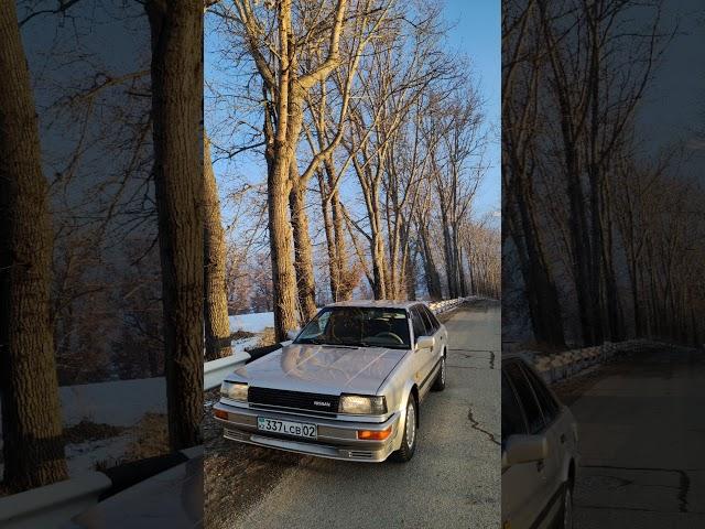 Nissan bluebird t72 CA20E