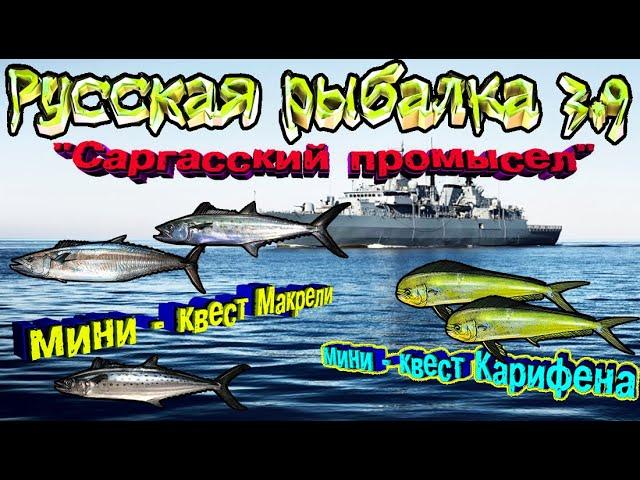 Русская рыбалка 3.9. Сарггаский промысел. Макрели \ Кариена