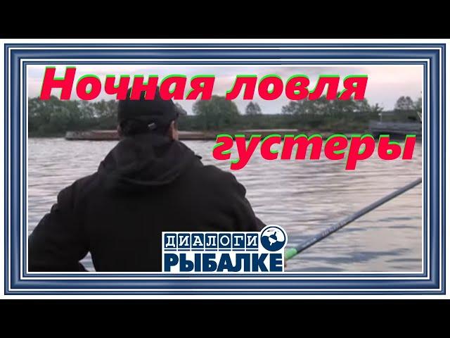 Диалоги о рыбалке - 025 / Ночная ловля густеры!