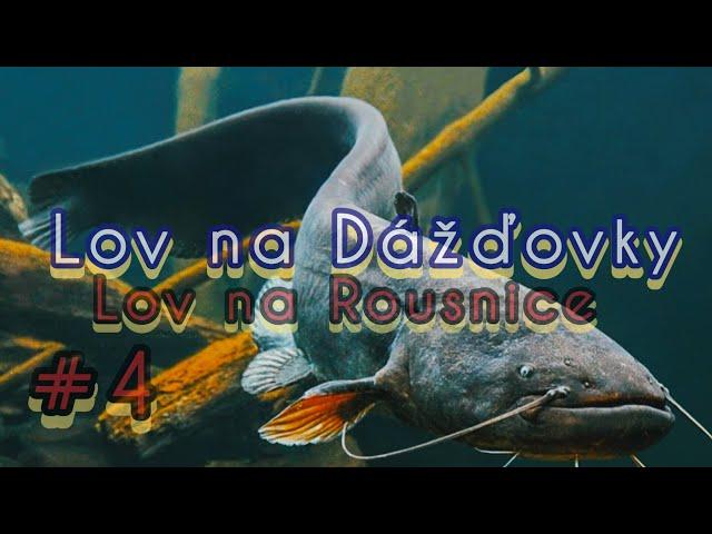 Lov na Dážďovky 4/Lov na Rousnice/Lov na Červy/Mirko Podvodný plavák/#catfish #raubfisch #river