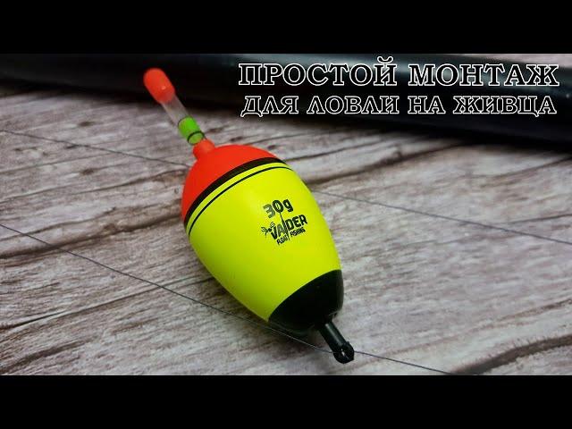 How to catch pike on live bait? Installation of a float fishing rod for pike fishing