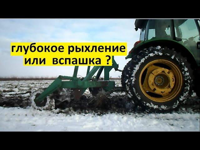 Глубокое рыхление или вспашка? Эксперимент с подсолнечником.