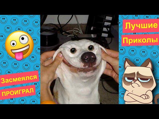 Я РЖАЛ ДО СЛЕЗ 40 Минут ОТБОРНЫХ ПРИКОЛОВ 2023 Смешные видео - Лучшие ПРИКОЛЫ #35