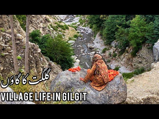 Village Life in Gilgit Baltistan | Bargo Pine  | Village Food Secrets | Pakistan Documentary