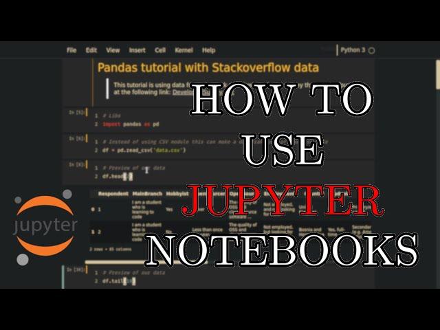 How To Use Jupyter Notebooks  (Basics Tutorial)