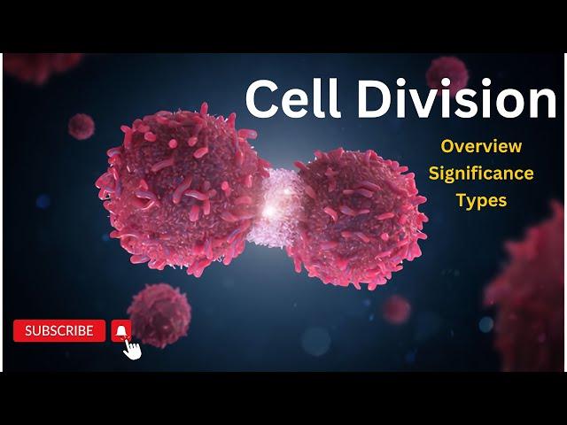 Cell Division Unveiled: From Growth to Reproduction, The Intricate Stages of Cell Division Revealed