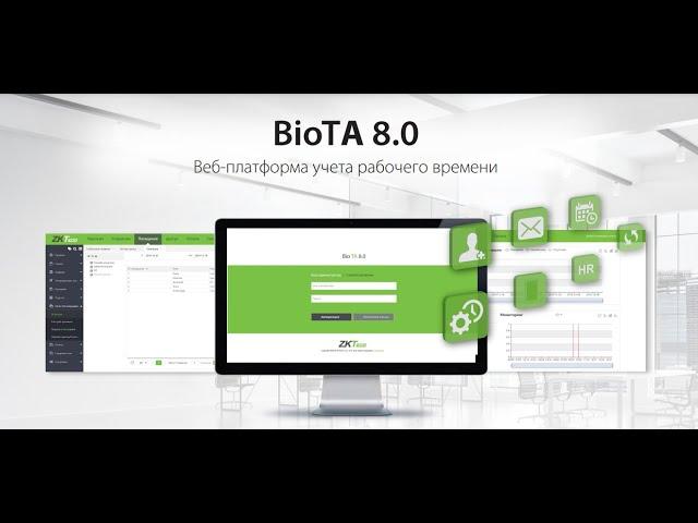 Программа BioTA. Отчеты по учету рабочего времени