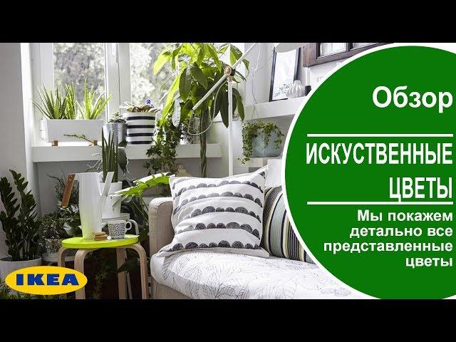 Искусственные цветы в икеа ! Мы покажем все цветы представленные в ikea