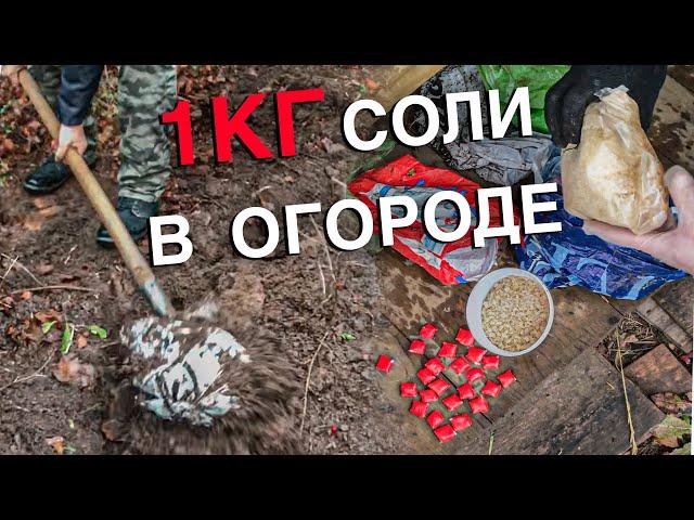 Вызов 02  1кг соли в огороде