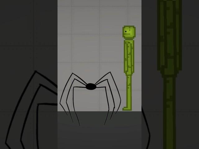 Melon Playground || Spider Jumpscare Meme #melon #melonplaygroudmeme #memes #jumpscare #funny
