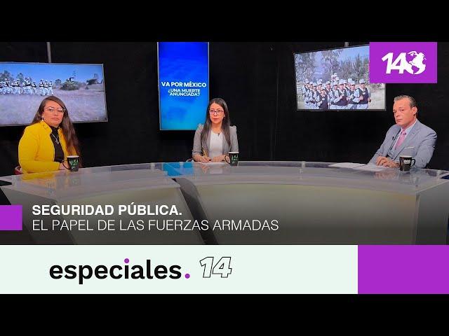 Especiales 14  | Seguridad pública. El papel de las fuerzas armadas.