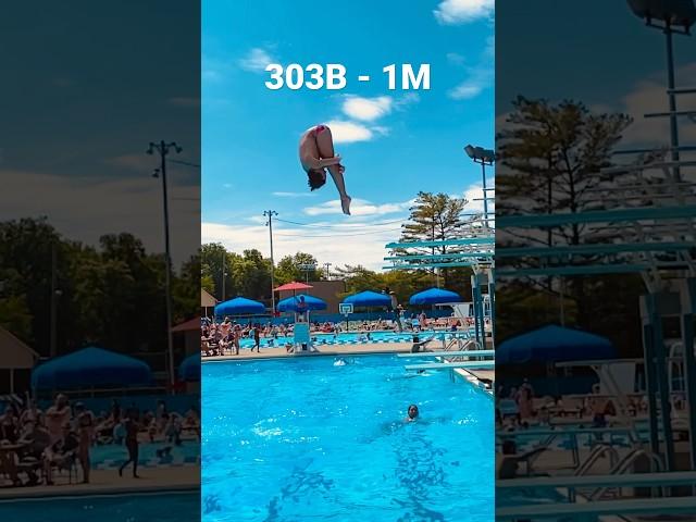 303B 1 meter dive - RIPFEST WUTWUT