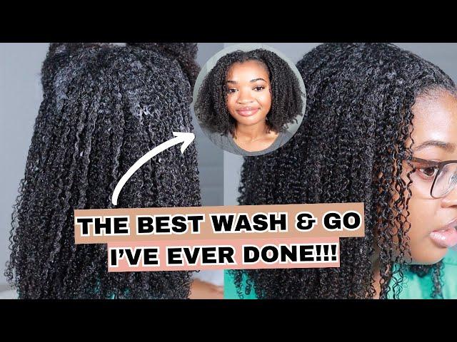 I Found The PERFECT Wash and Go Combo for Type 4 Hair!!!