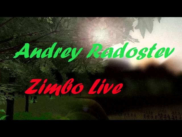 Andrey Radostev - Zimbo live