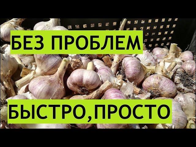 Уникальное приспособление для обрезки чеснока!