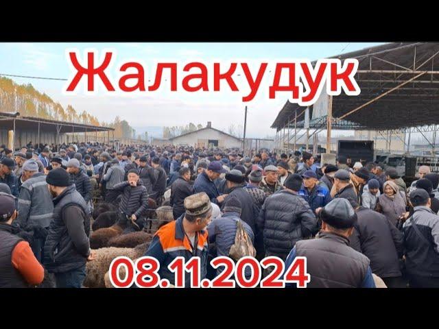 Андижон вилояти Жалакудук хайвон бозори 8.11.2024 #андижон #жалакудук #водийдансадо