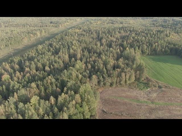 Квадрокоптер заснял нереальные пейзажи! Нетронутая красота дикой природы.