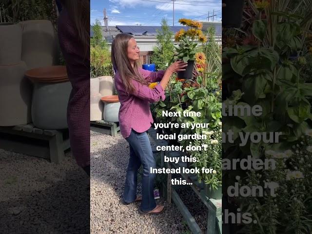 Fall Gardening: What Not To Buy, And What To Buy Instead... #fallgarden #gardening