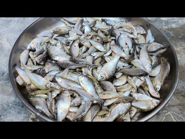 छोटी मछली बनाने का सबसे आसान तरीका । छोटी मछली कैसे बनता है। Small Fish Recipe l Fish Curry Recipe