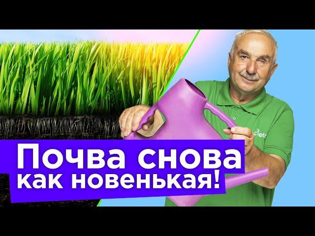 ПРОЛЕЙТЕ ПОЧВУ ПОСЛЕ ТОМАТОВ, ОГУРЦОВ, КАРТОШКИ ЭТИМ, и она станет снова здоровой и плодородной!