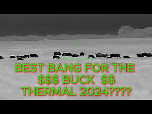 BEST BANG FOR YOUR BUCK THERMAL 2024