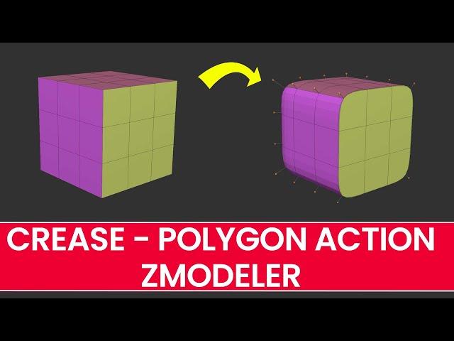 CREASE - Polygon Action - ZModeler - ZBrush