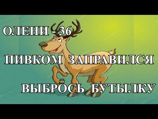 Олени-36 - Пивком заправился, выбрось бутылку...