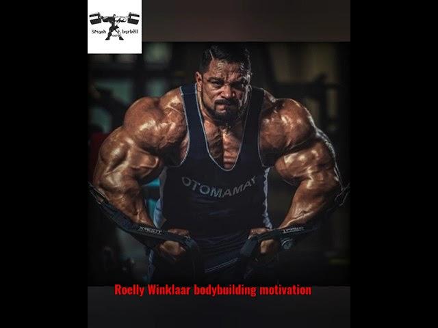 #bodybuilding #motivation #nicandrovisionmotivation @RoellyRulez