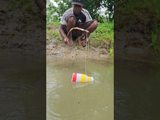 Amazing Hook & Bottle Fish Trapping System Challenge  #fish #fishing #shorts #fishtrap #video #fyp