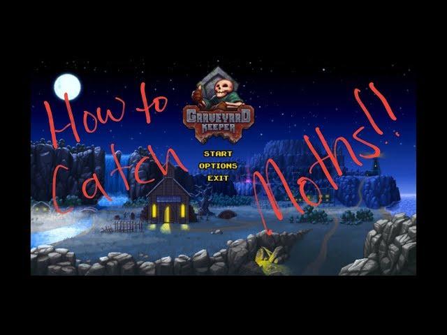 Graveyard Keeper: How To Catch Moths (Moth Balls New Form of Ligma)