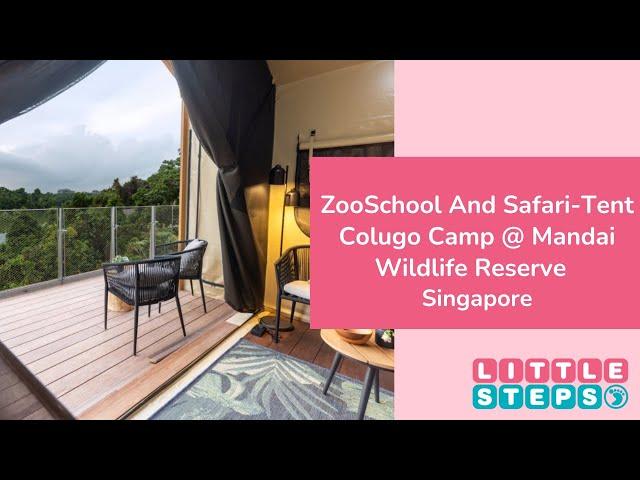 ZooSchool And Safari-Tent Colugo Camp Launch At Mandai Wildlife Reserve In Singapore