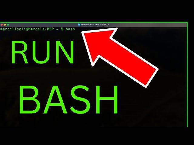 How to Run Bash in Terminal on Mac