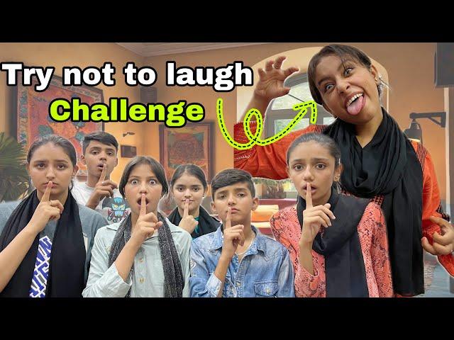 Try Not To Laugh Challenge || Has Has Ke Bura Hal || Zahra Nadeem