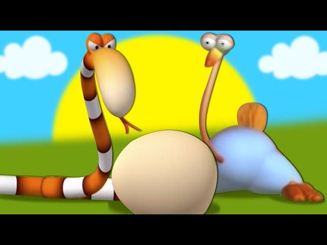 Gazoon | Easter Egg Hunt | Ostrich vs Snake | Funny Animal Cartoons for Kids by HooplaKidz TV