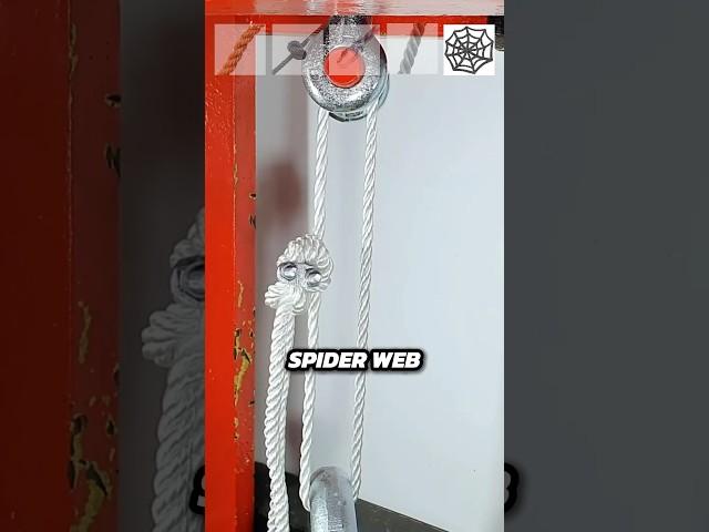Steel vs SpiderWeb